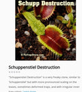 Schuppenstiel